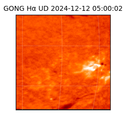 gong - 2024-12-12T05:00:02