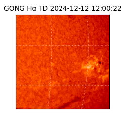 gong - 2024-12-12T12:00:22