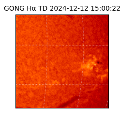 gong - 2024-12-12T15:00:22