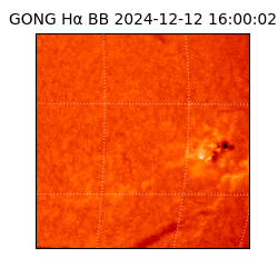 gong - 2024-12-12T16:00:02