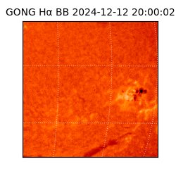 gong - 2024-12-12T20:00:02