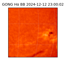 gong - 2024-12-12T23:00:02