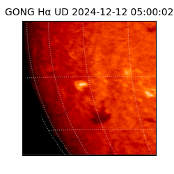 gong - 2024-12-12T05:00:02