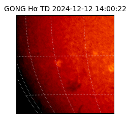 gong - 2024-12-12T14:00:22