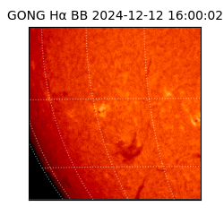 gong - 2024-12-12T16:00:02