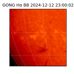 gong - 2024-12-12T23:00:02