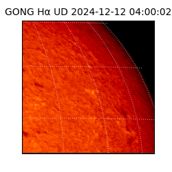 gong - 2024-12-12T04:00:02
