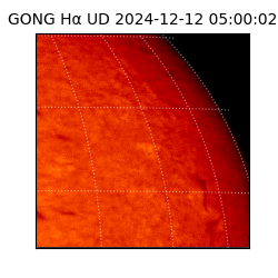 gong - 2024-12-12T05:00:02
