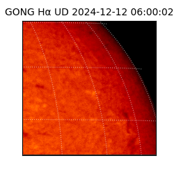 gong - 2024-12-12T06:00:02