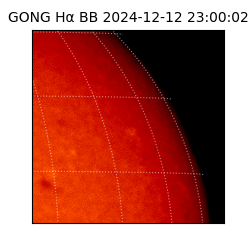 gong - 2024-12-12T23:00:02