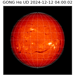 gong - 2024-12-12T04:00:02