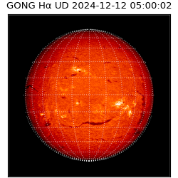 gong - 2024-12-12T05:00:02