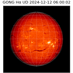 gong - 2024-12-12T06:00:02