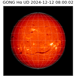 gong - 2024-12-12T08:00:02