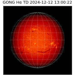 gong - 2024-12-12T13:00:22