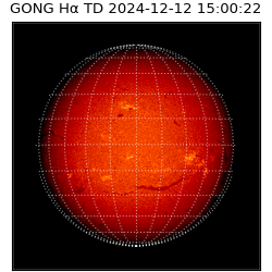 gong - 2024-12-12T15:00:22