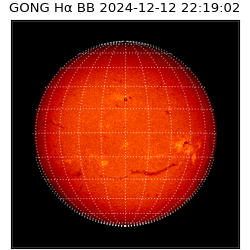 gong - 2024-12-12T22:19:02