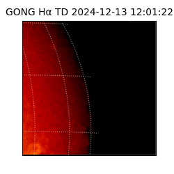 gong - 2024-12-13T12:01:22