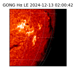 gong - 2024-12-13T02:00:42