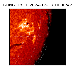 gong - 2024-12-13T10:00:42