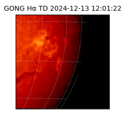 gong - 2024-12-13T12:01:22