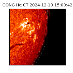 gong - 2024-12-13T15:00:42