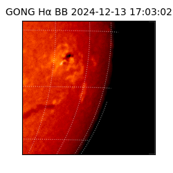 gong - 2024-12-13T17:03:02