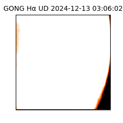 gong - 2024-12-13T03:06:02