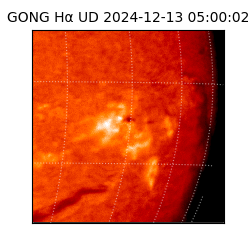 gong - 2024-12-13T05:00:02