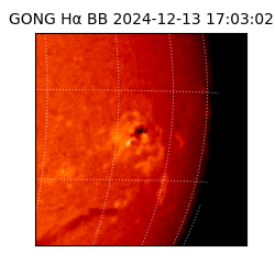 gong - 2024-12-13T17:03:02