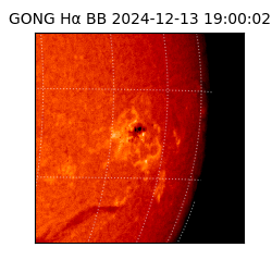 gong - 2024-12-13T19:00:02
