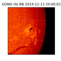 gong - 2024-12-13T20:00:02