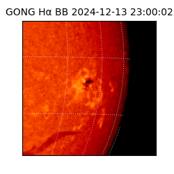 gong - 2024-12-13T23:00:02