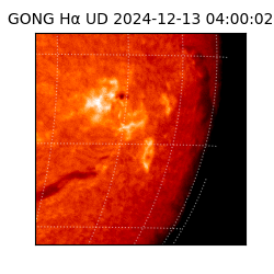 gong - 2024-12-13T04:00:02