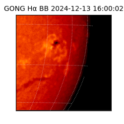 gong - 2024-12-13T16:00:02