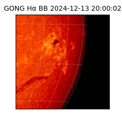 gong - 2024-12-13T20:00:02