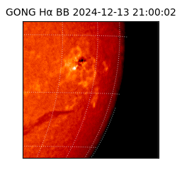 gong - 2024-12-13T21:00:02