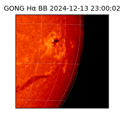 gong - 2024-12-13T23:00:02
