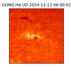 gong - 2024-12-13T06:00:02