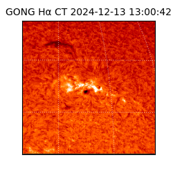 gong - 2024-12-13T13:00:42