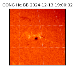 gong - 2024-12-13T19:00:02