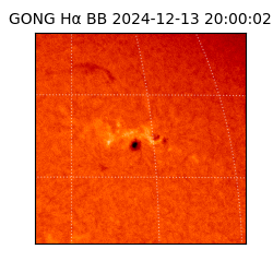 gong - 2024-12-13T20:00:02