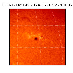 gong - 2024-12-13T22:00:02