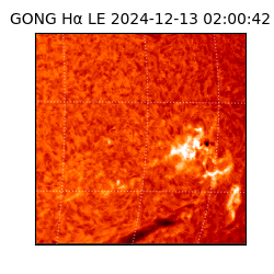 gong - 2024-12-13T02:00:42