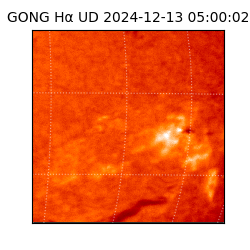 gong - 2024-12-13T05:00:02