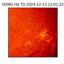 gong - 2024-12-13T12:01:22