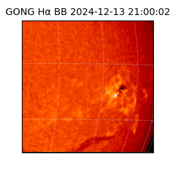 gong - 2024-12-13T21:00:02