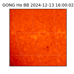 gong - 2024-12-13T16:00:02