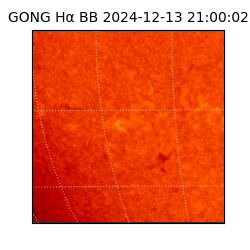 gong - 2024-12-13T21:00:02