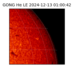 gong - 2024-12-13T01:00:42